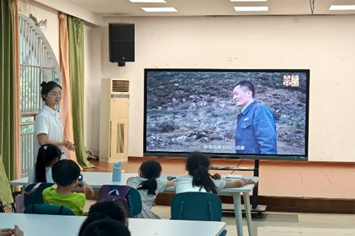 图片15 图片15